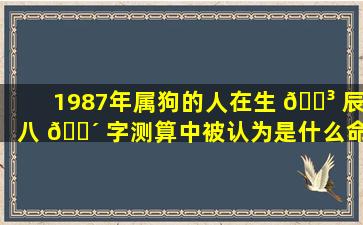 1987年属狗的人在生 🌳 辰八 🌴 字测算中被认为是什么命